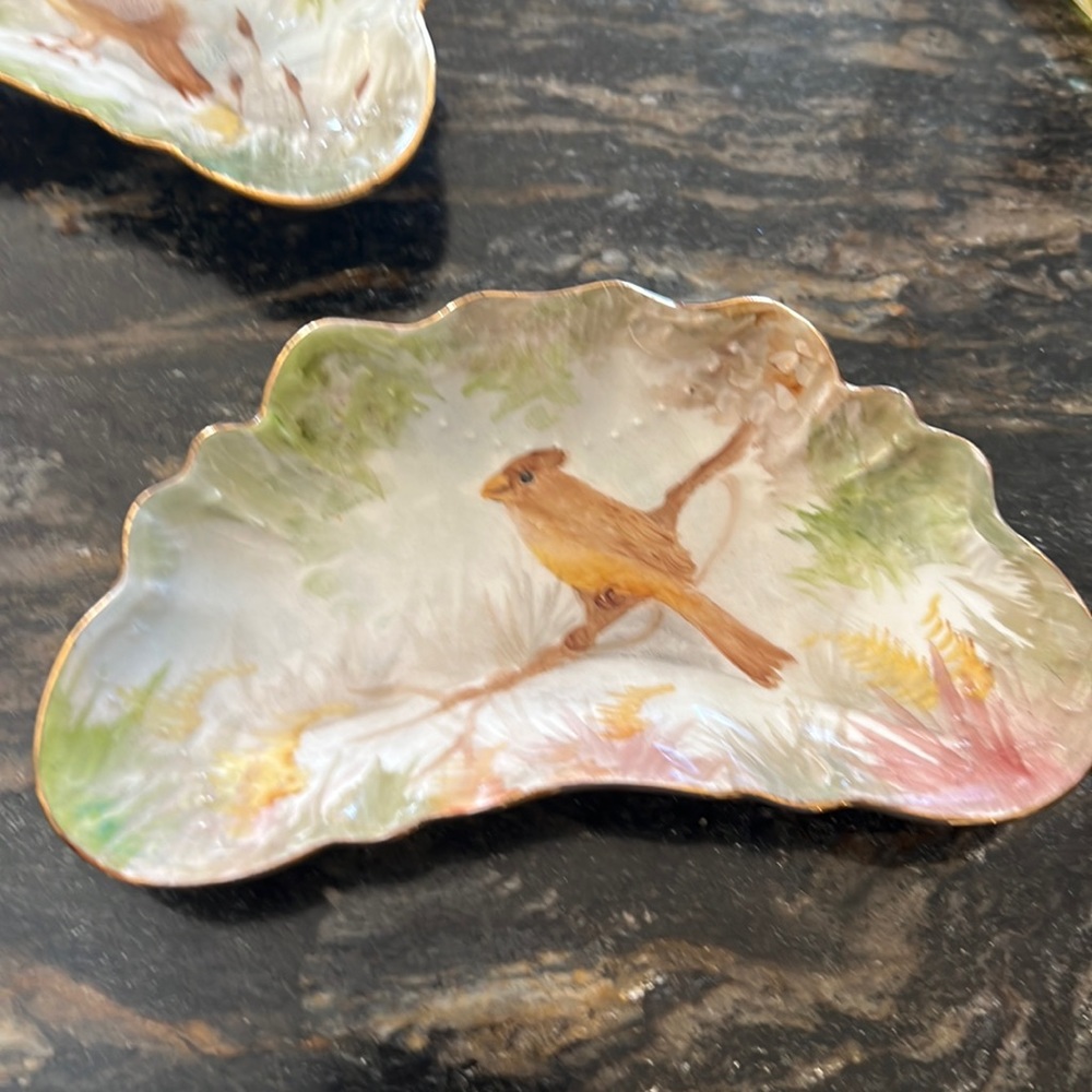 Johnson brothers bone plates